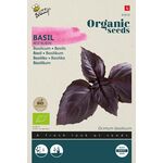 Organic Basil Red Rubin