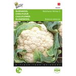 Cauliflower Walcheren