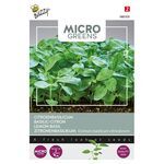 Microgreens Basilic Citron
