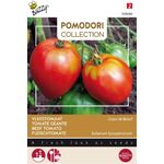 Pomodori Tomato Cuor Di Bue