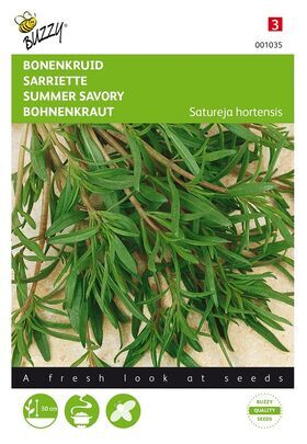 Summer Savory