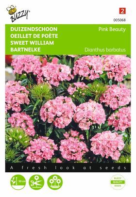 Sweet William seeds
