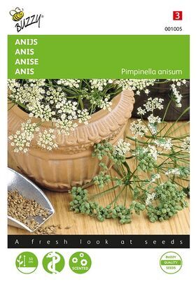 Anise
