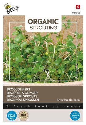 Organic Broccoli sprouts Cut and Eat