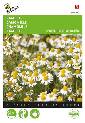 Chamomile
