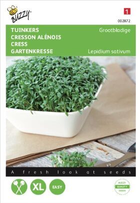 Cress Plain Broad Leaf